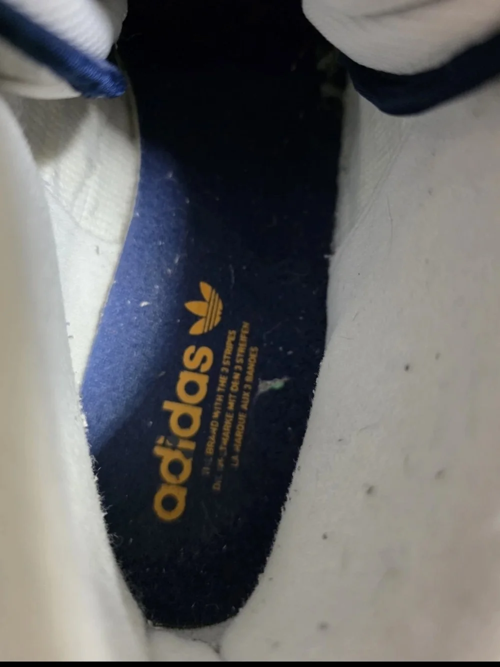 adidas men high